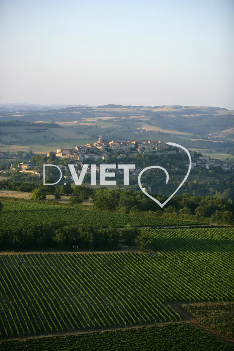 Photo TOULOUSE by VIET - VIET_007556