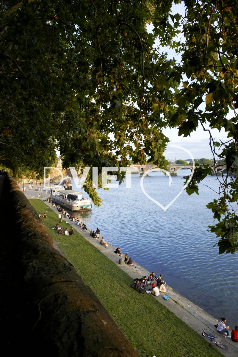 Photo TOULOUSE by VIET - Daurade