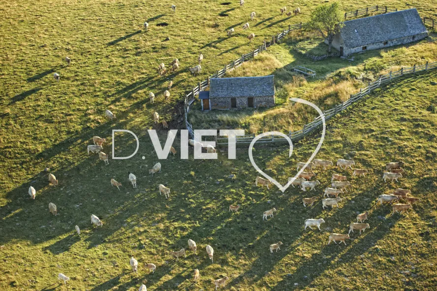 Photo TOULOUSE by VIET - Buron Aubrac