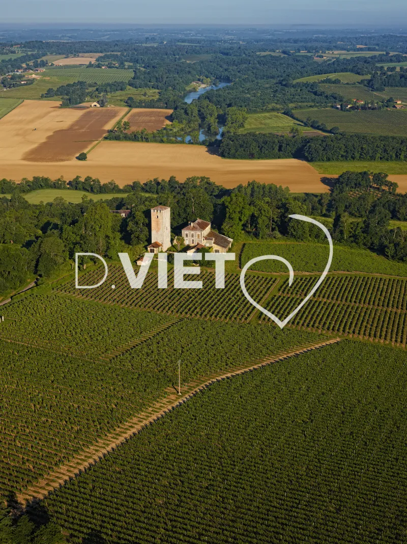 Photo TOULOUSE by VIET - Bretagne d armagnac