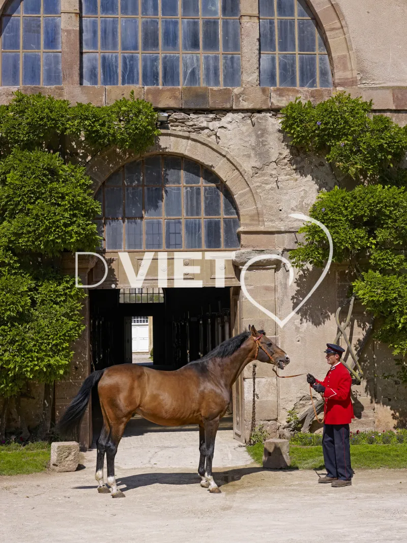 Photo TOULOUSE by VIET - Haras de Rodez