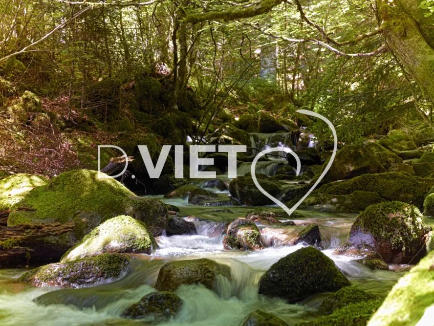 Photo TOULOUSE by VIET - cascade foret