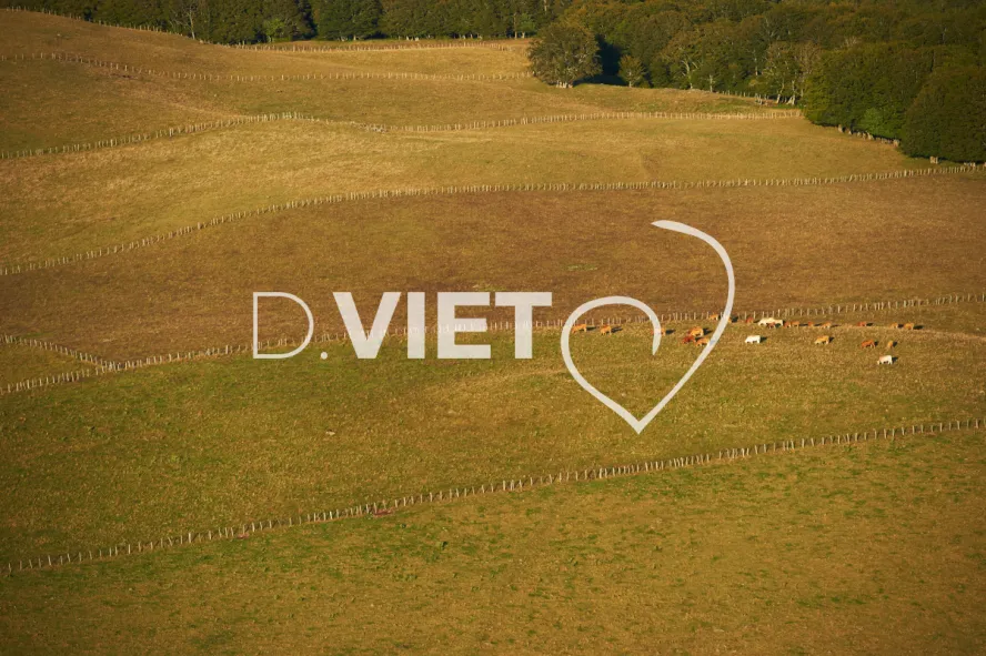 Photo TOULOUSE by VIET - VIET_005948