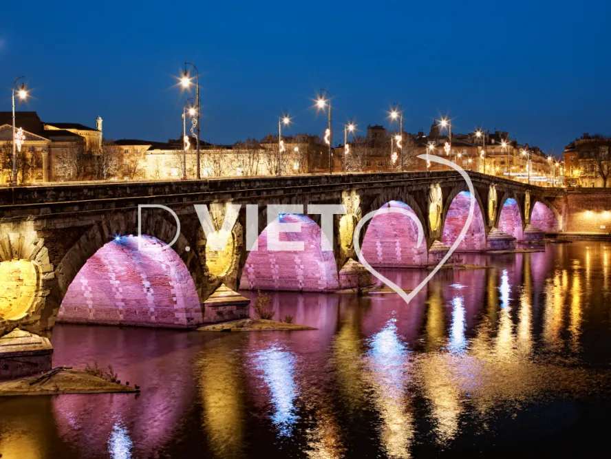 Photo TOULOUSE by VIET - Illuminations du pont Neuf