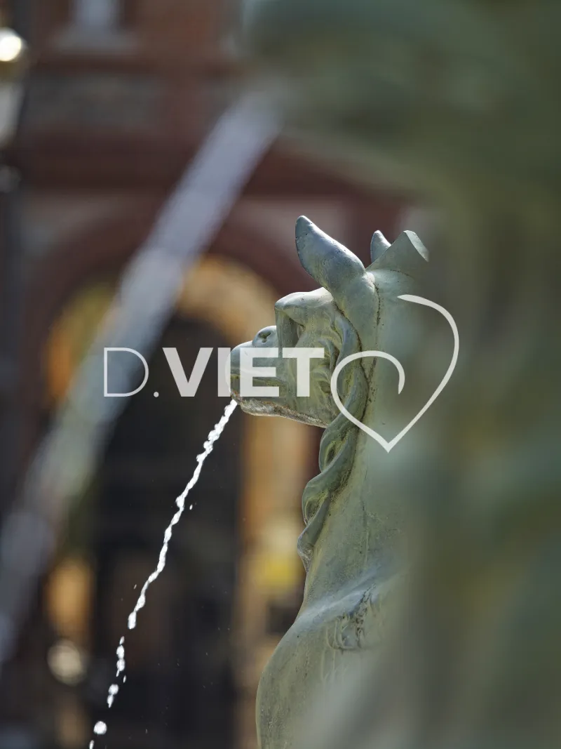 Photo TOULOUSE by VIET - La fontaine Dupuy