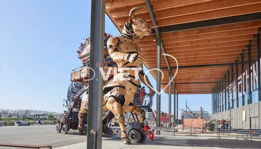 Photo TOULOUSE by VIET - LA HALLE DE LA MACHINE