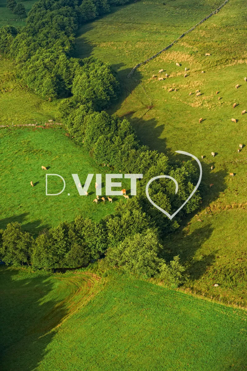 Photo TOULOUSE by VIET - Laguiole