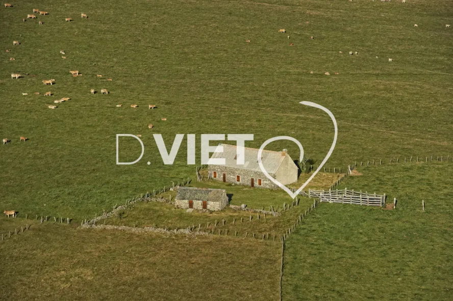 Photo TOULOUSE by VIET - Buron Aubrac