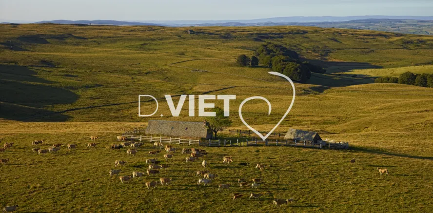 Photo TOULOUSE by VIET - Buron Aubrac