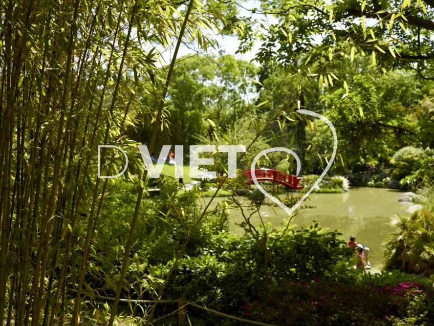 Photo TOULOUSE by VIET - Compans caffarelli