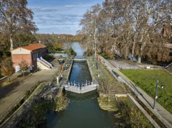 Photo TOULOUSE by VIET - Garonne et ramier
