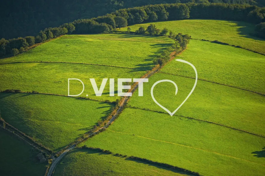 Photo TOULOUSE by VIET - VIET_005953