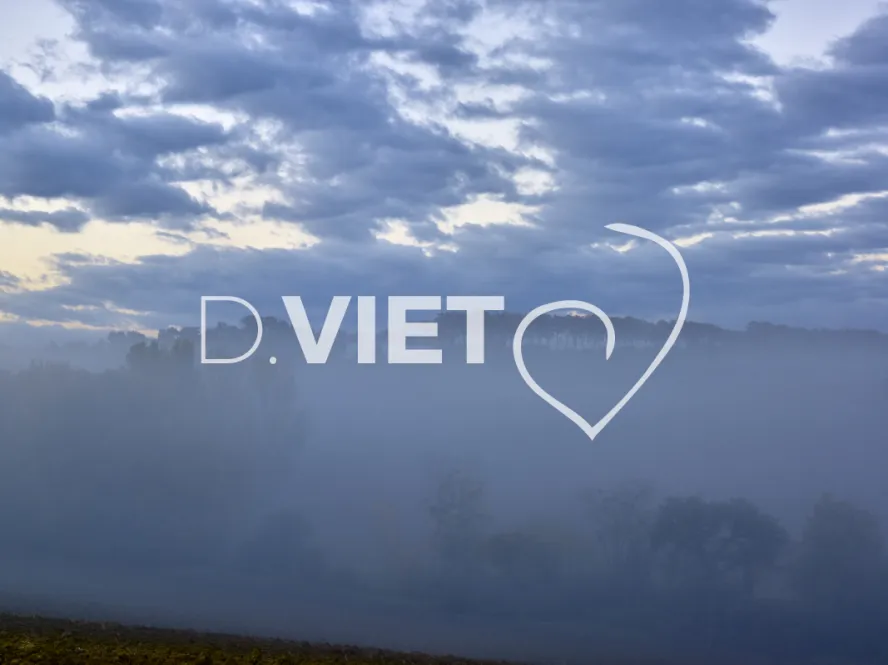 Photo TOULOUSE by VIET - BRUME