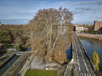 Photo TOULOUSE by VIET - Garonne et pont du halage de Tounis