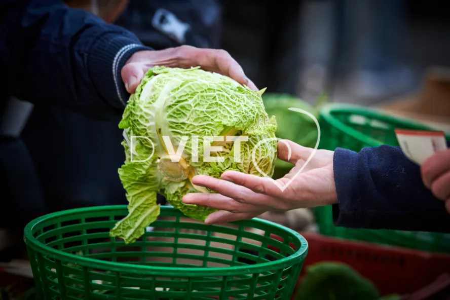 Photo TOULOUSE by VIET - MARCHE SAINT AUBIN