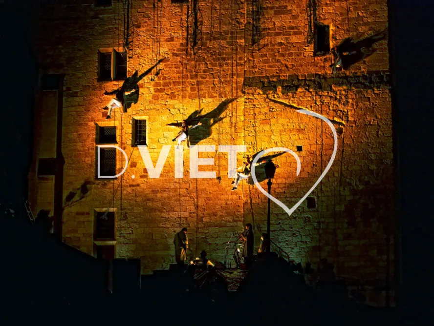 Photo TOULOUSE by VIET - spectacle de nuit