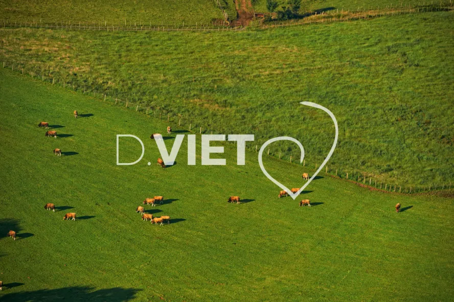 Photo TOULOUSE by VIET - Chapelle