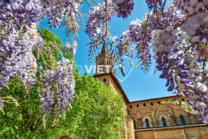 Photo TOULOUSE by VIET - Place de Saint-Sernin