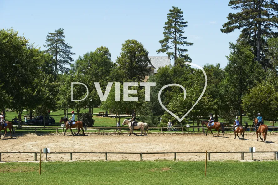Photo TOULOUSE by VIET - Centre equestre de Combelles
