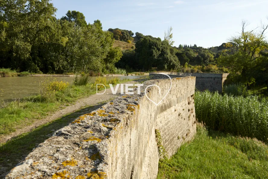 Photo TOULOUSE by VIET - REPRUDE