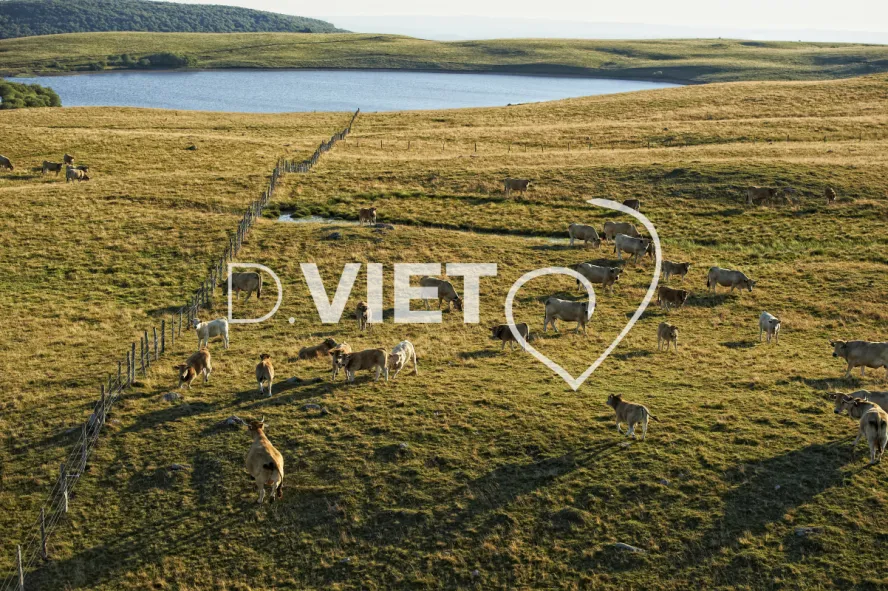 Photo TOULOUSE by VIET - Buron Aubrac