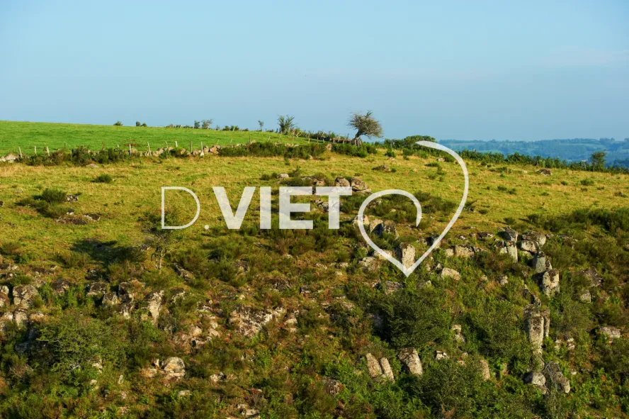 Photo TOULOUSE by VIET - Montpeyroux