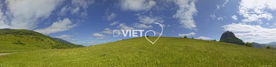 Photo TOULOUSE by VIET - Tas de bois coupe