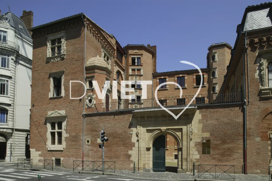 Photo TOULOUSE by VIET - Hotel du vieux raisin