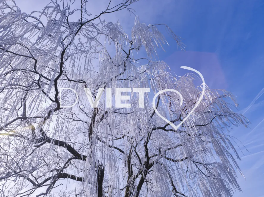 Photo TOULOUSE by VIET - VIET_008040