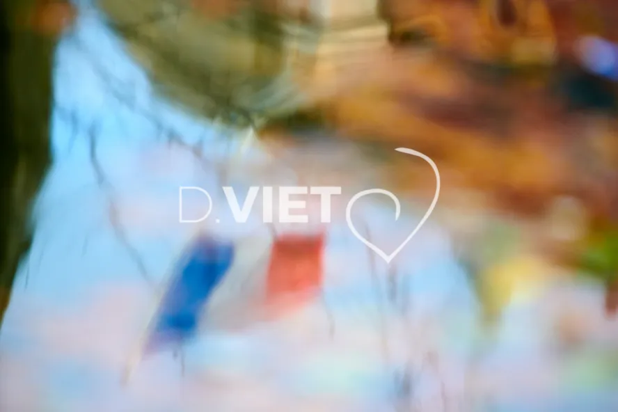 Photo TOULOUSE by VIET - VIET_011106