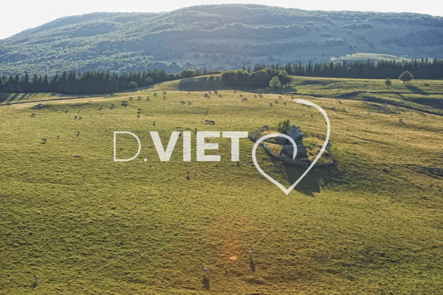 Photo TOULOUSE by VIET - Buron Aubrac