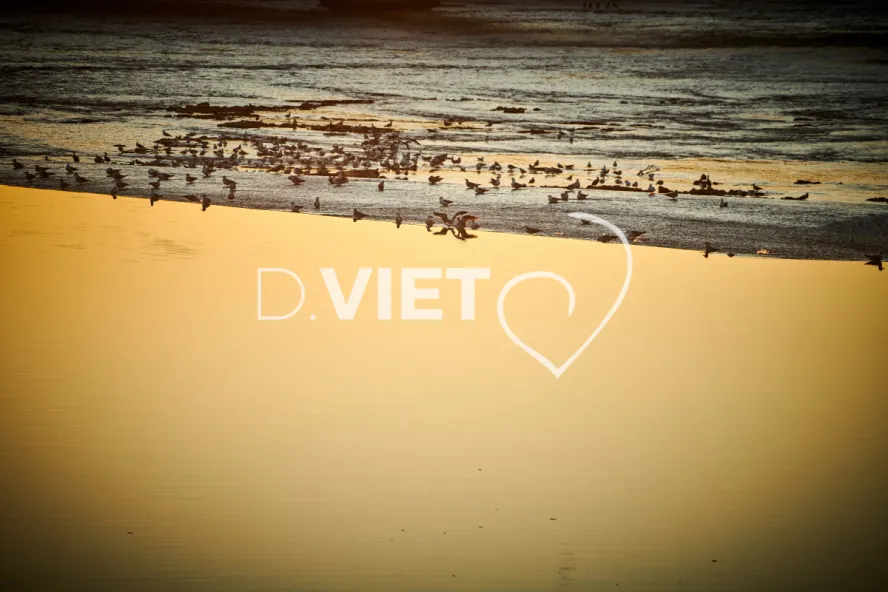 Photo TOULOUSE by VIET - Garonne Les quais