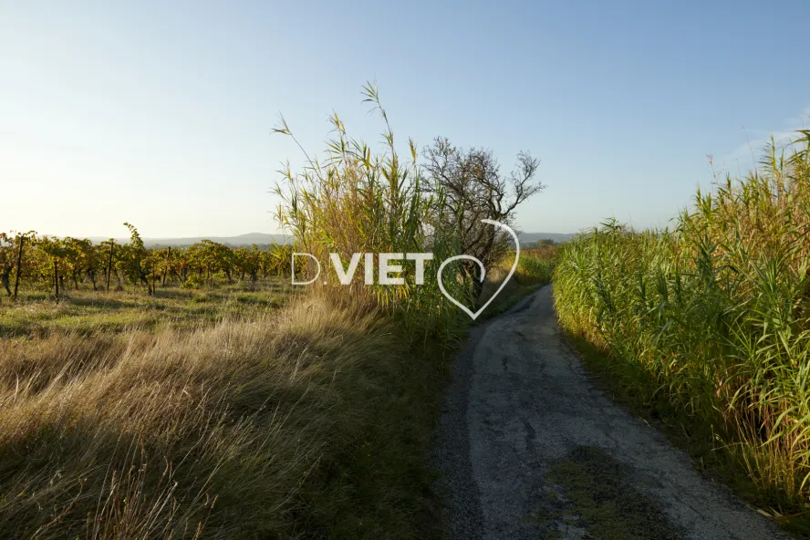 Photo TOULOUSE by VIET - Chemin de Sainte-Valière