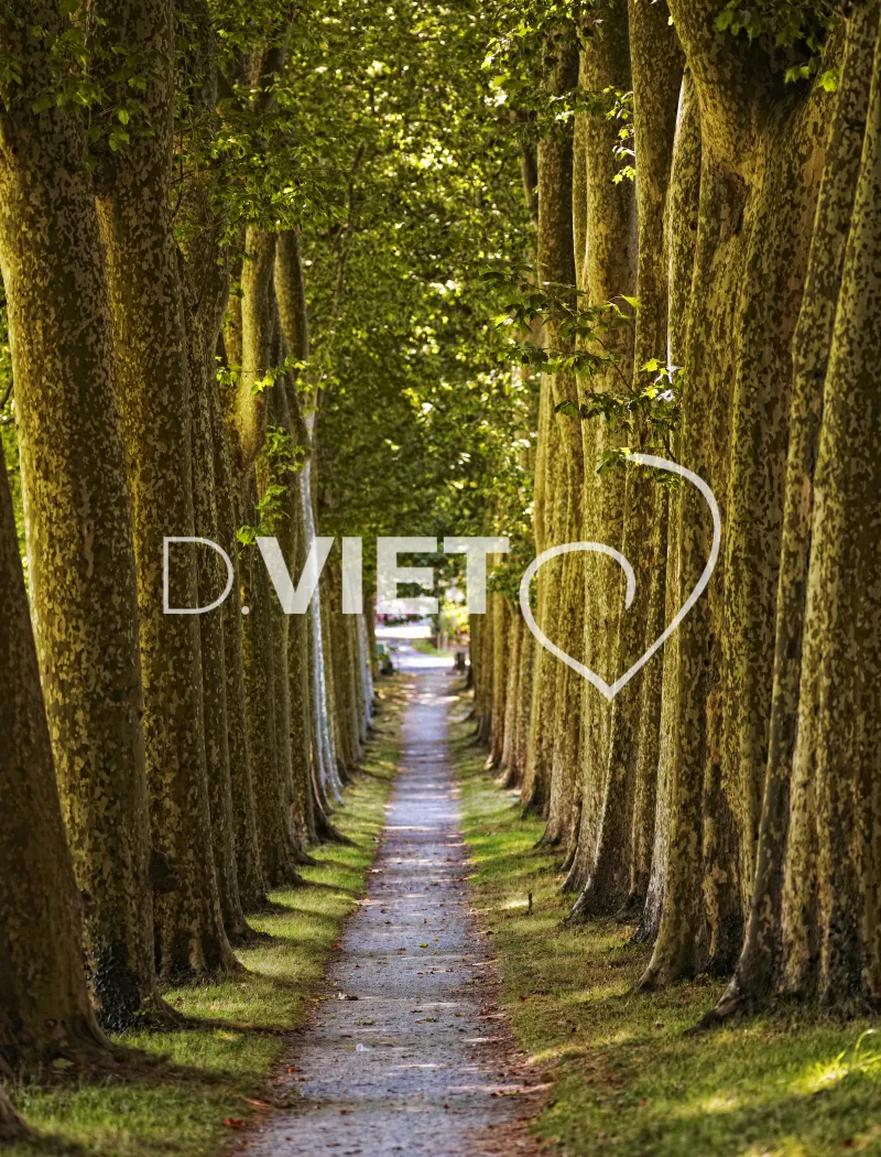 Photo TOULOUSE by VIET - Naurouze