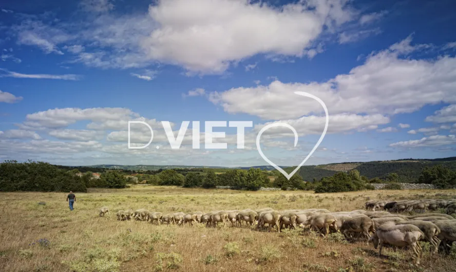 Photo TOULOUSE by VIET - VIET_003498