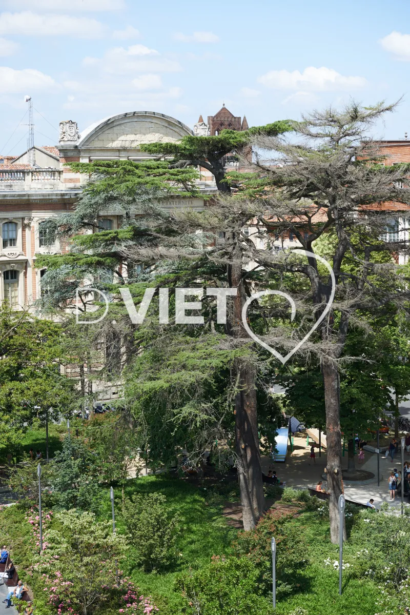 Photo TOULOUSE by VIET - Donjon du Capitole