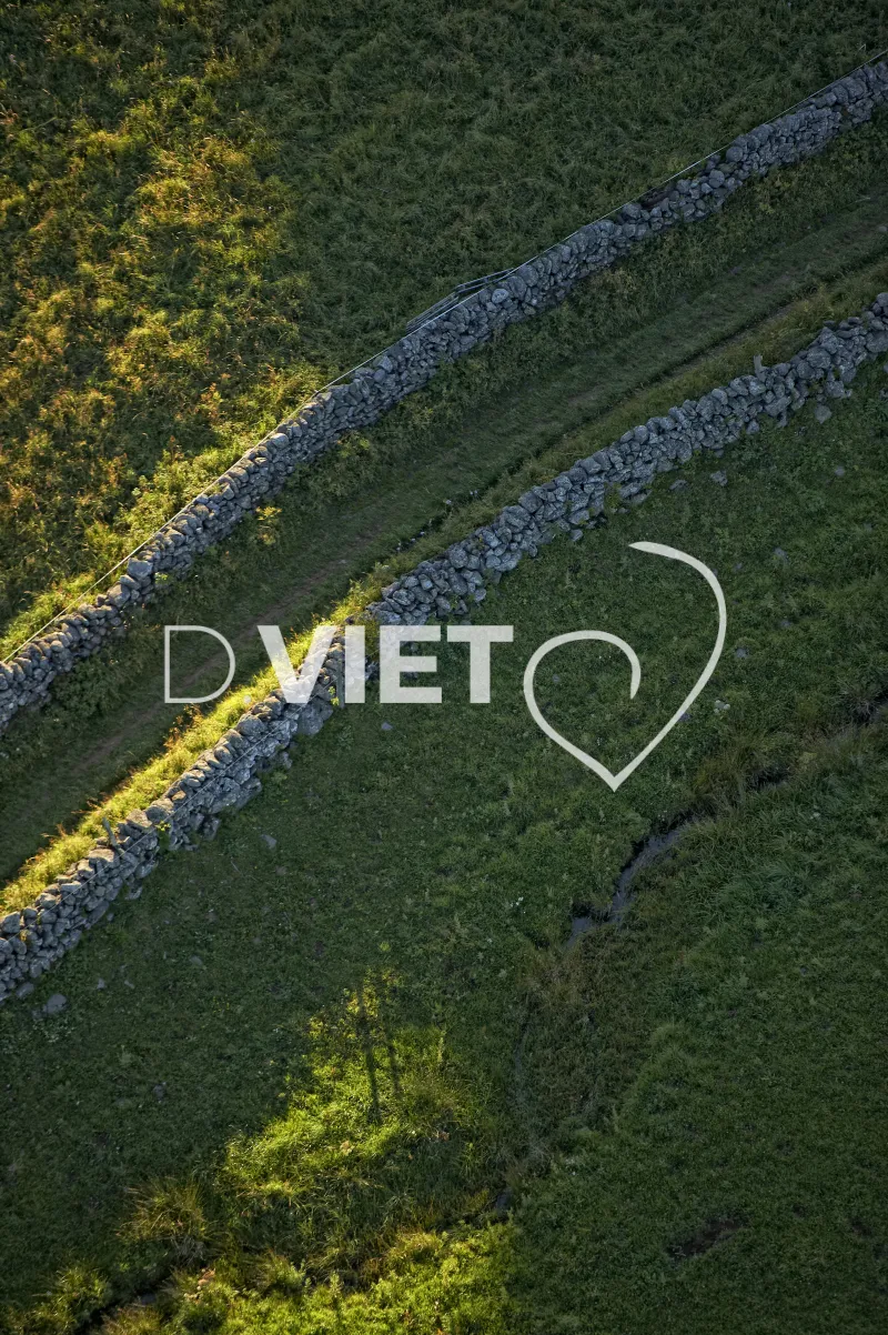 Photo TOULOUSE by VIET - AUBRAC