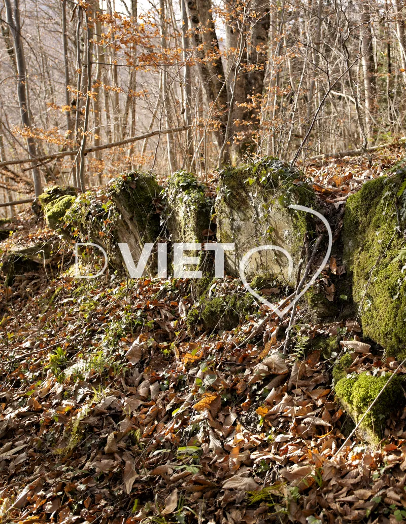 Photo TOULOUSE by VIET - Montsegur 09 pierres