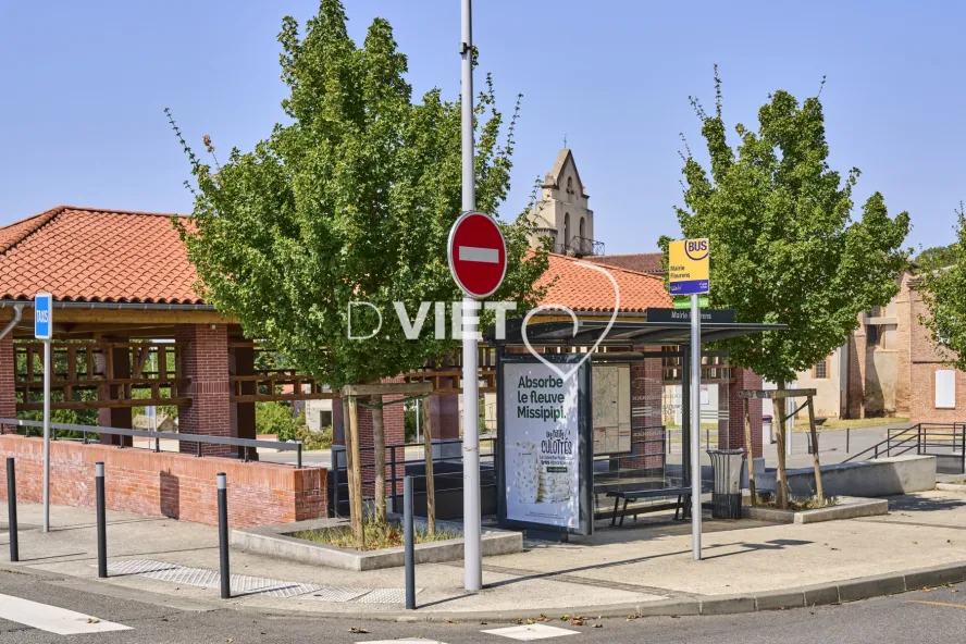 Photo TOULOUSE by VIET - FLOURENS