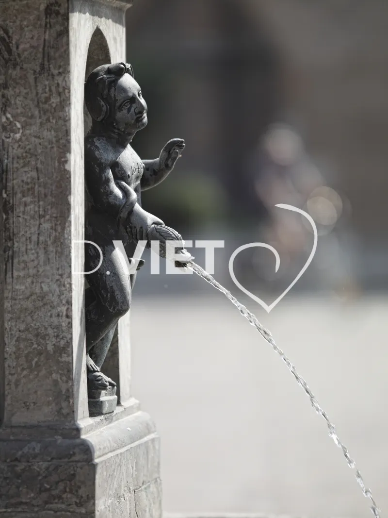 Photo TOULOUSE by VIET - La fontaine Saint-Etienne