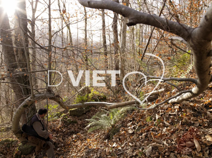 Photo TOULOUSE by VIET - Montsegur 09