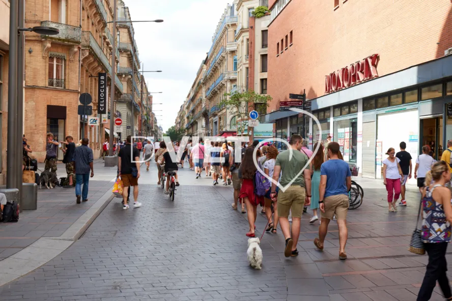 Photo TOULOUSE by VIET - Groupe en visite rue commercante