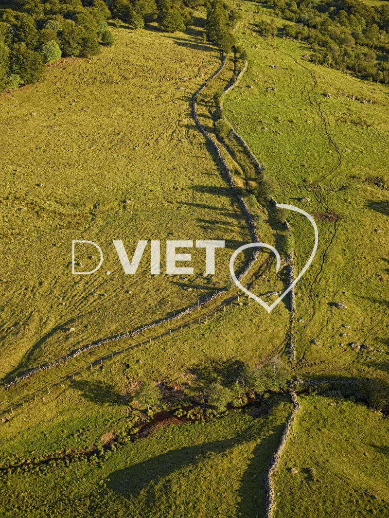 Photo TOULOUSE by VIET - Buron Aubrac