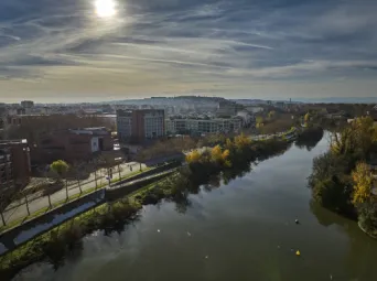 Photo TOULOUSE by VIET - Garonne et ramier