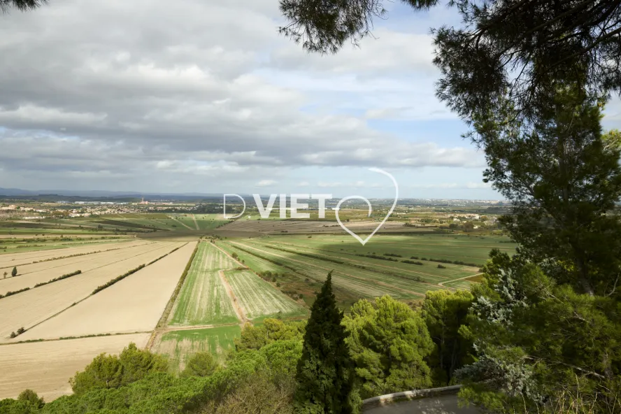 Photo TOULOUSE by VIET - Etang de Montady