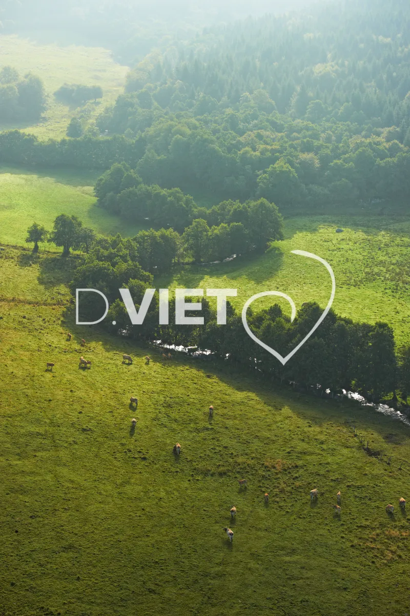 Photo TOULOUSE by VIET - Laguiole