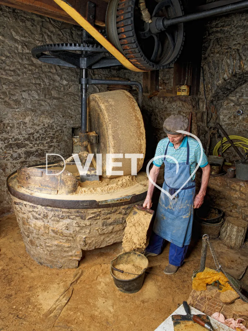 Photo TOULOUSE by VIET - Moulin à l'huile de noix martel