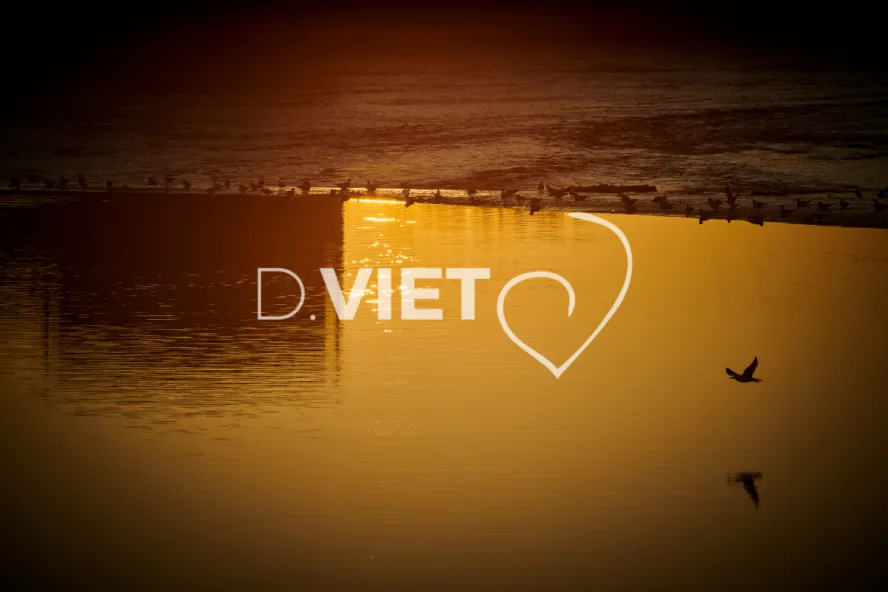 Photo TOULOUSE by VIET - Garonne Les quais