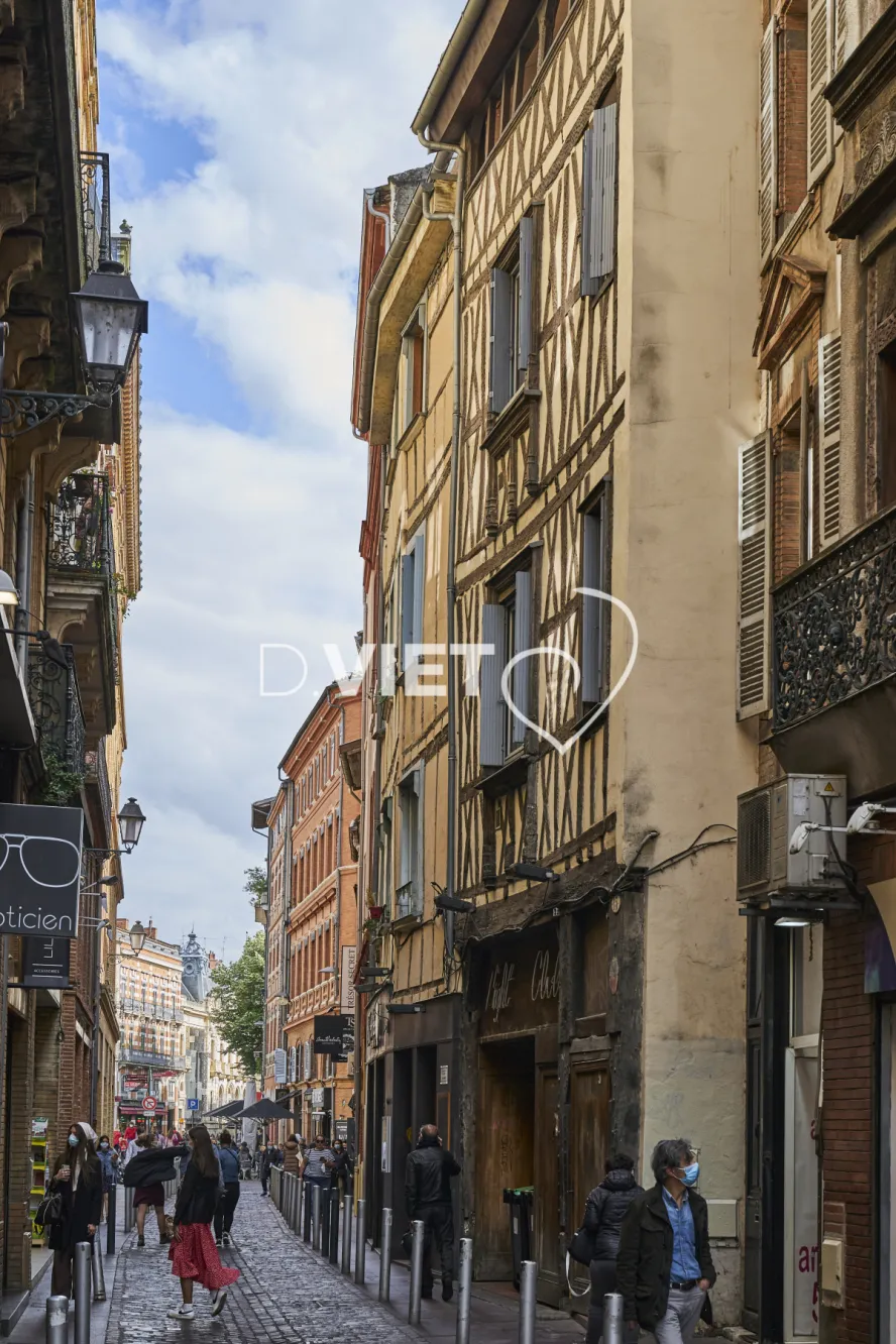 Photo TOULOUSE by VIET - VIET_013648