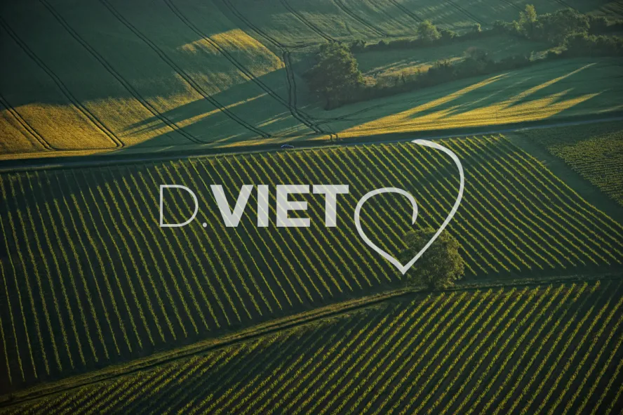 Photo TOULOUSE by VIET - Gers